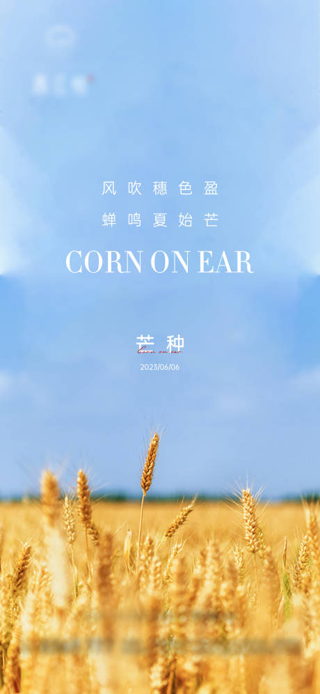 源文件下载【芒种节气海报】编号：33060017101619096