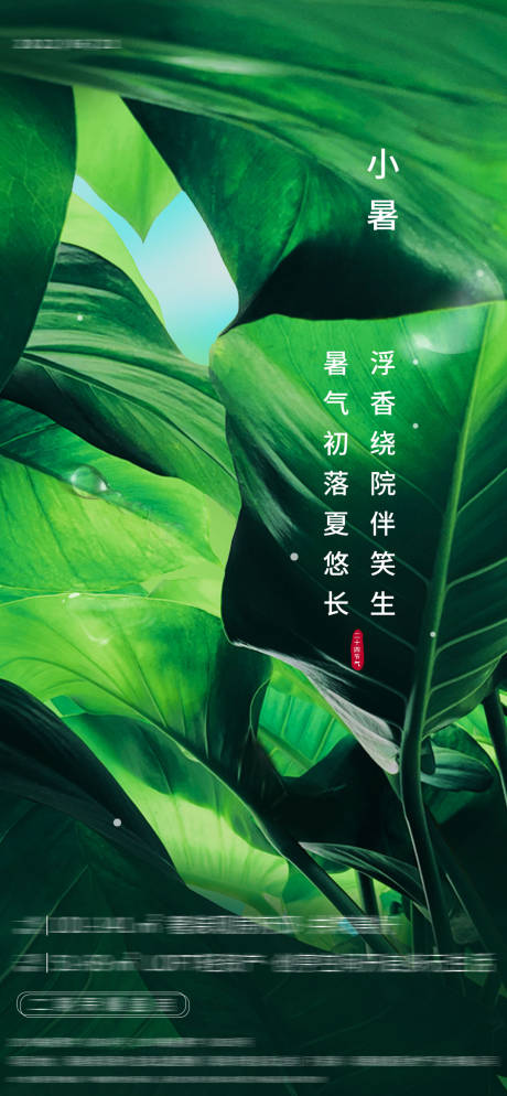 源文件下載【小暑海報】編號：81670017714865899