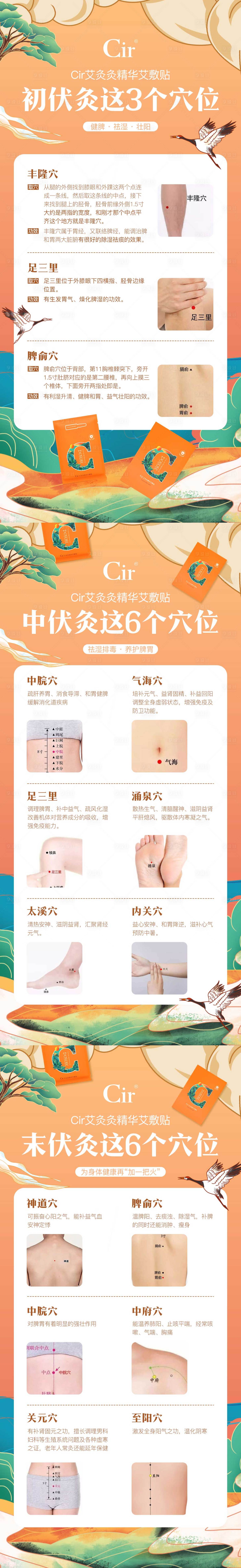 源文件下载【三伏贴穴位科普系列海报】编号：88600017473143138