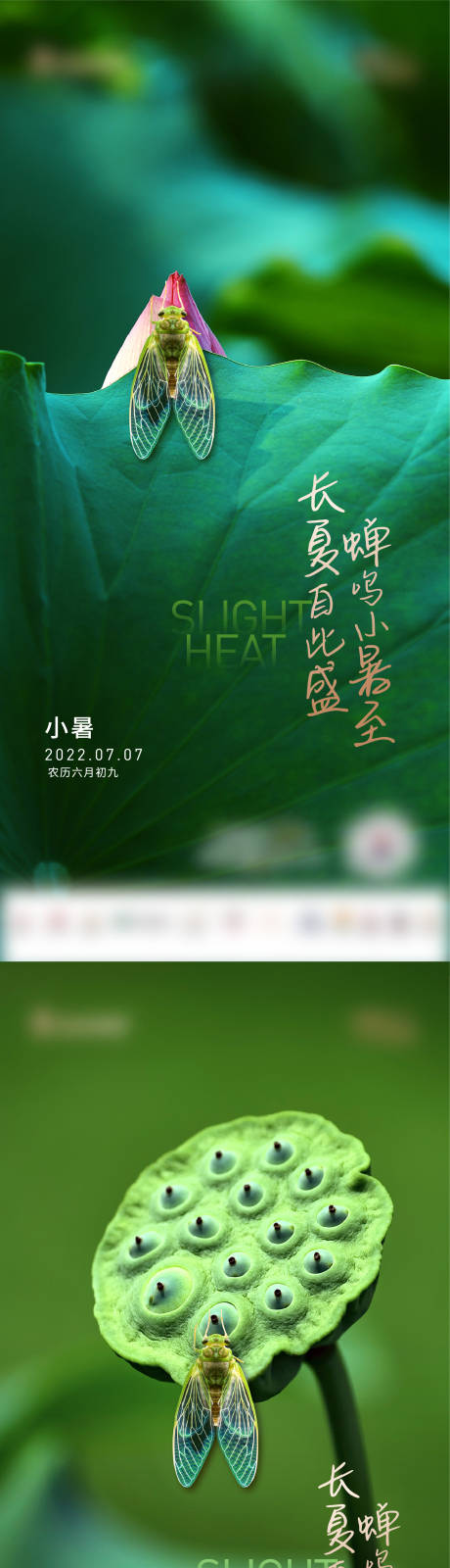 源文件下載【享設(shè)計(jì)】搜索編號：54540017547928192【小暑節(jié)氣海報(bào)】