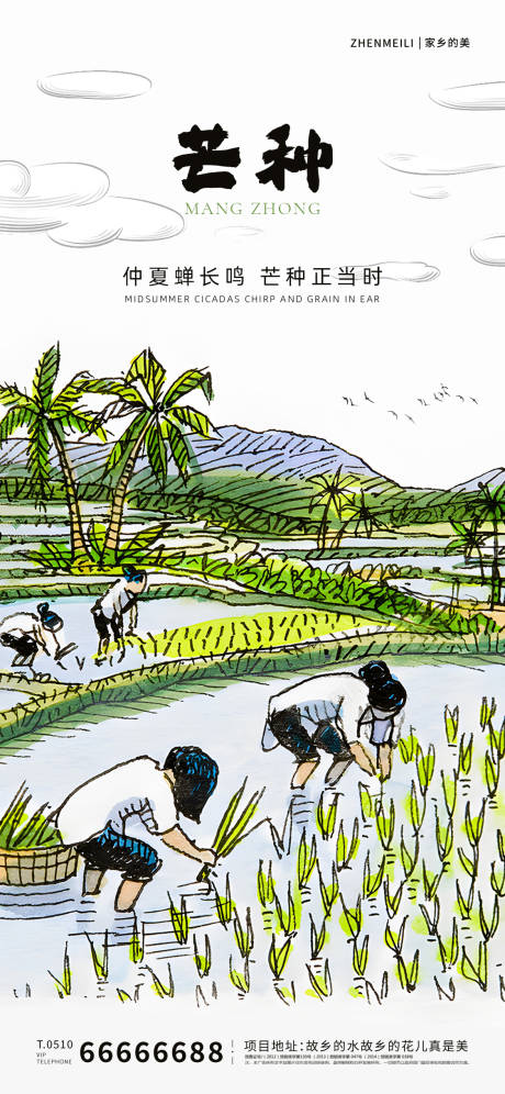 源文件下载【芒种节气海报】编号：97320017215895101
