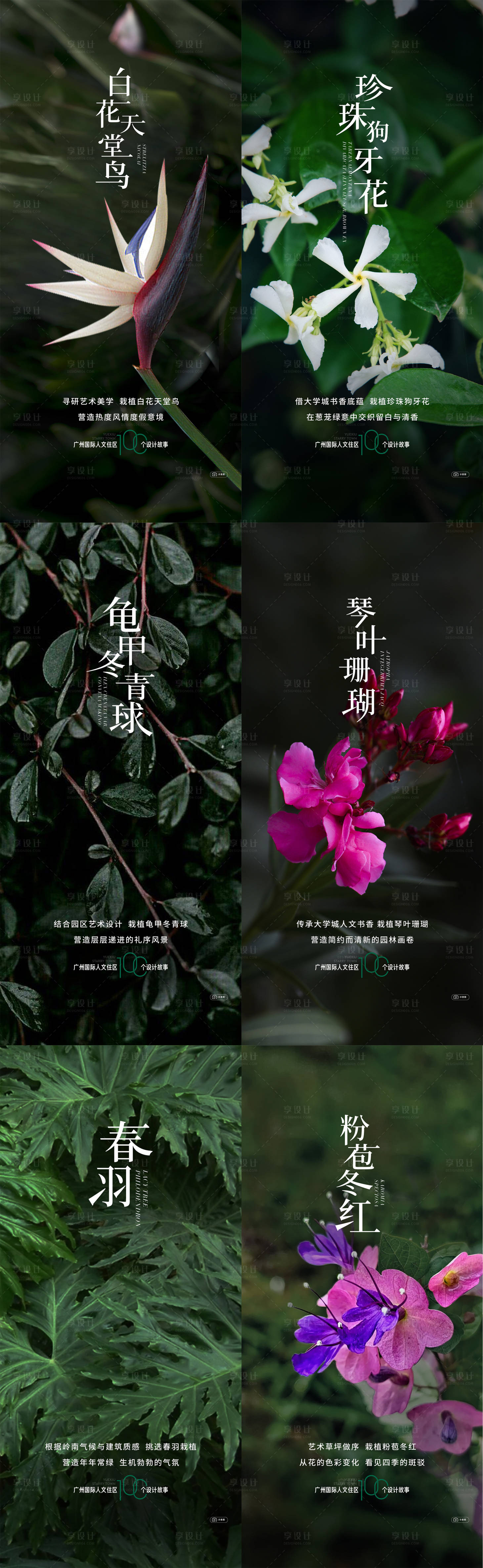 源文件下載【享設(shè)計(jì)】搜索編號(hào)：10920017566736442【植物價(jià)值海報(bào)】