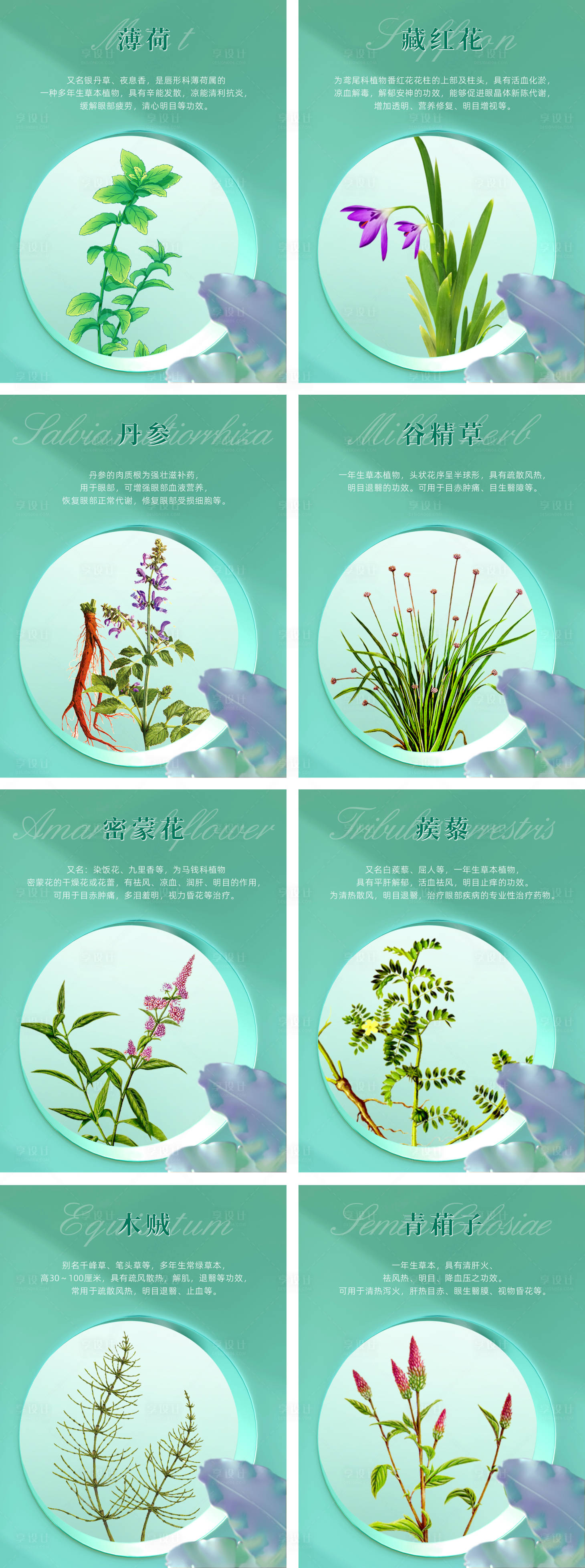 源文件下载【享设计】搜索编号：41290017099543939【小红书海报】