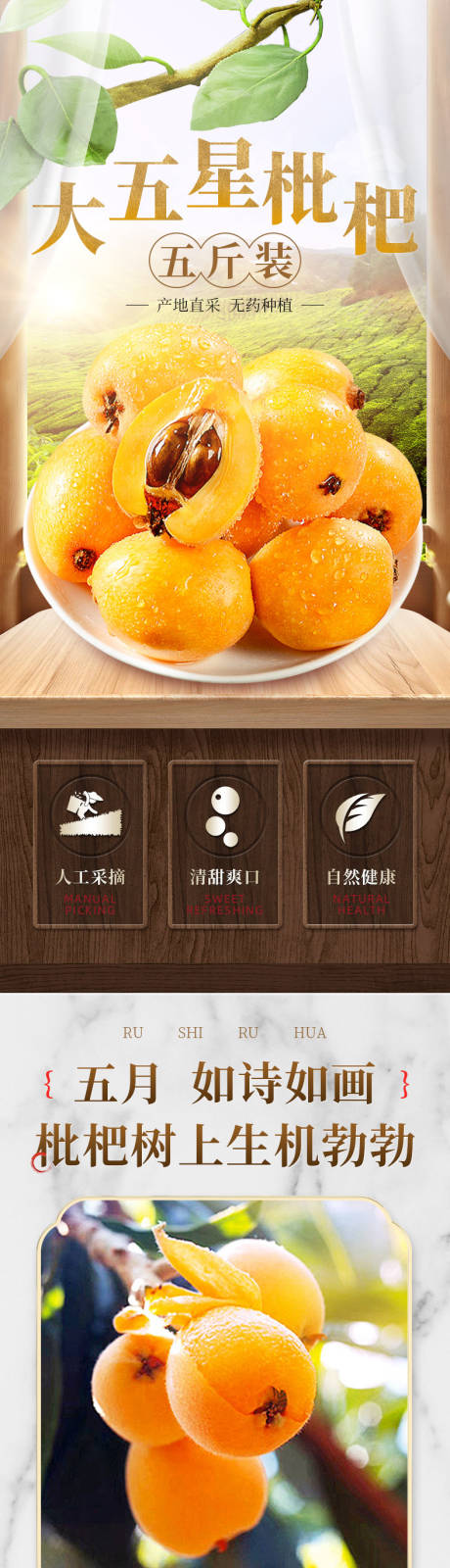 源文件下载【水果热带枇杷特价详情页】编号：17640017149671037