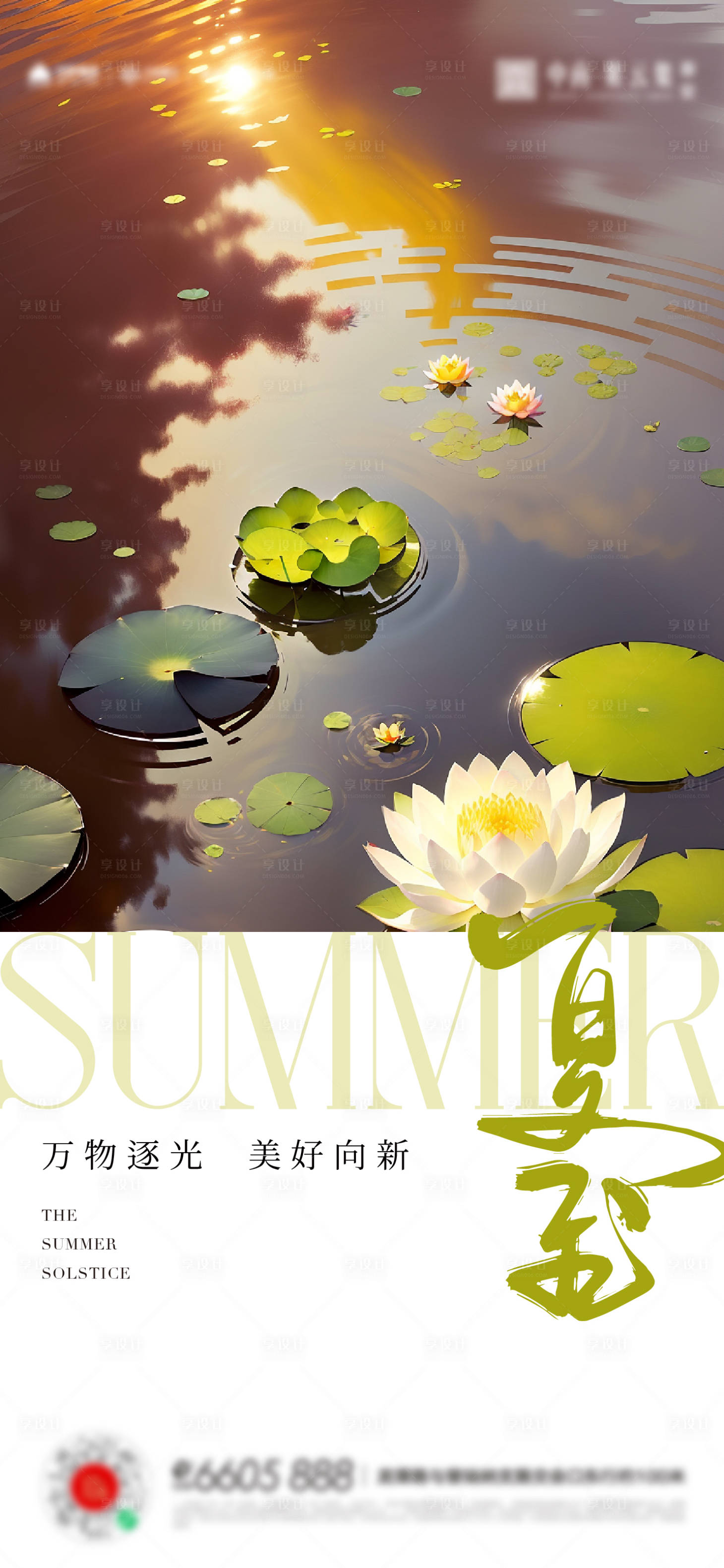 源文件下载【夏至海报】编号：49500017522955898