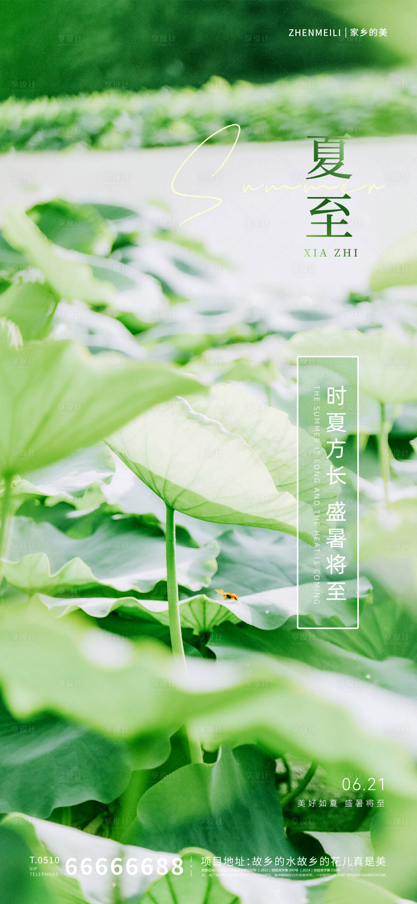 源文件下载【夏至节气海报】编号：15770017351789868