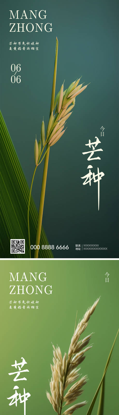 源文件下載【芒種節(jié)氣海報】編號：63920017140822788