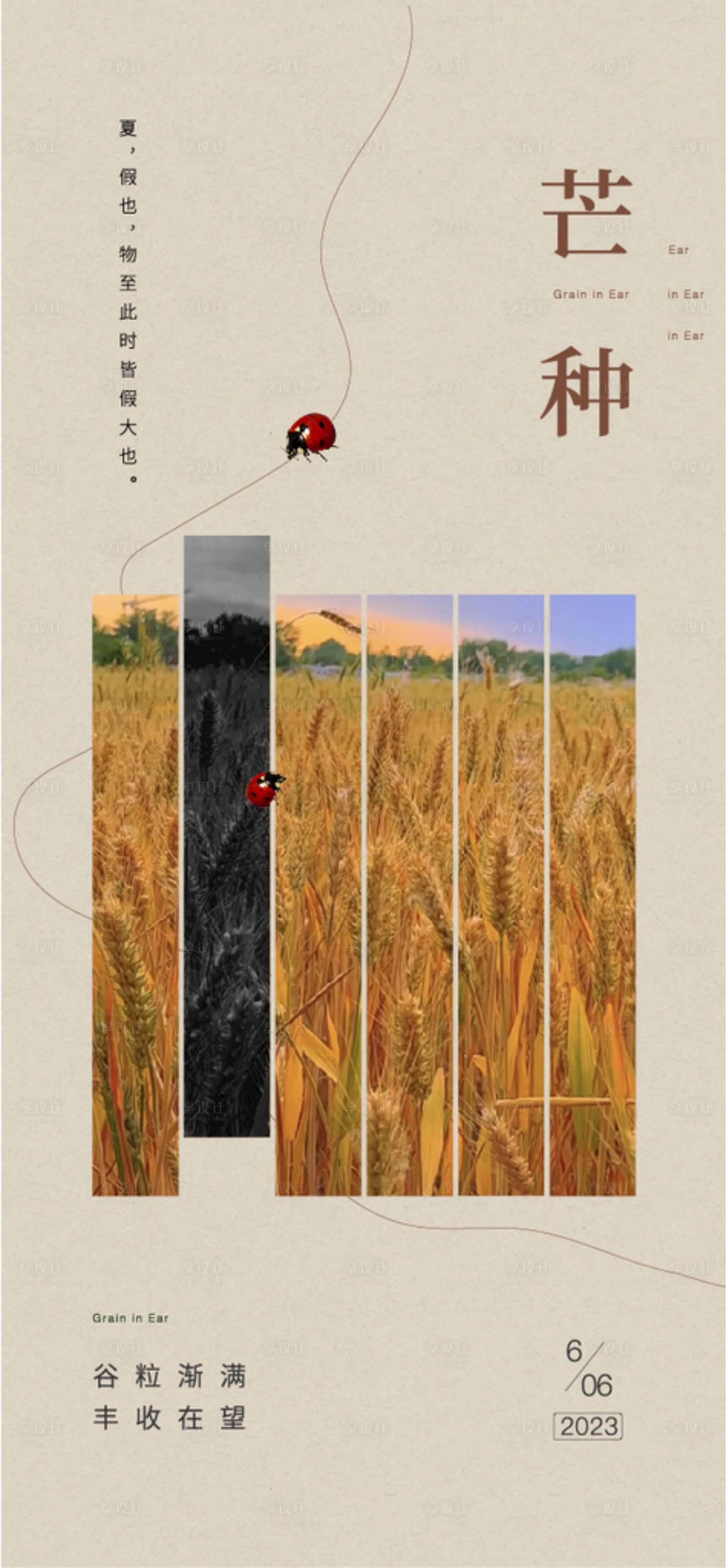 源文件下载【地产芒种海报】编号：39450017179261445