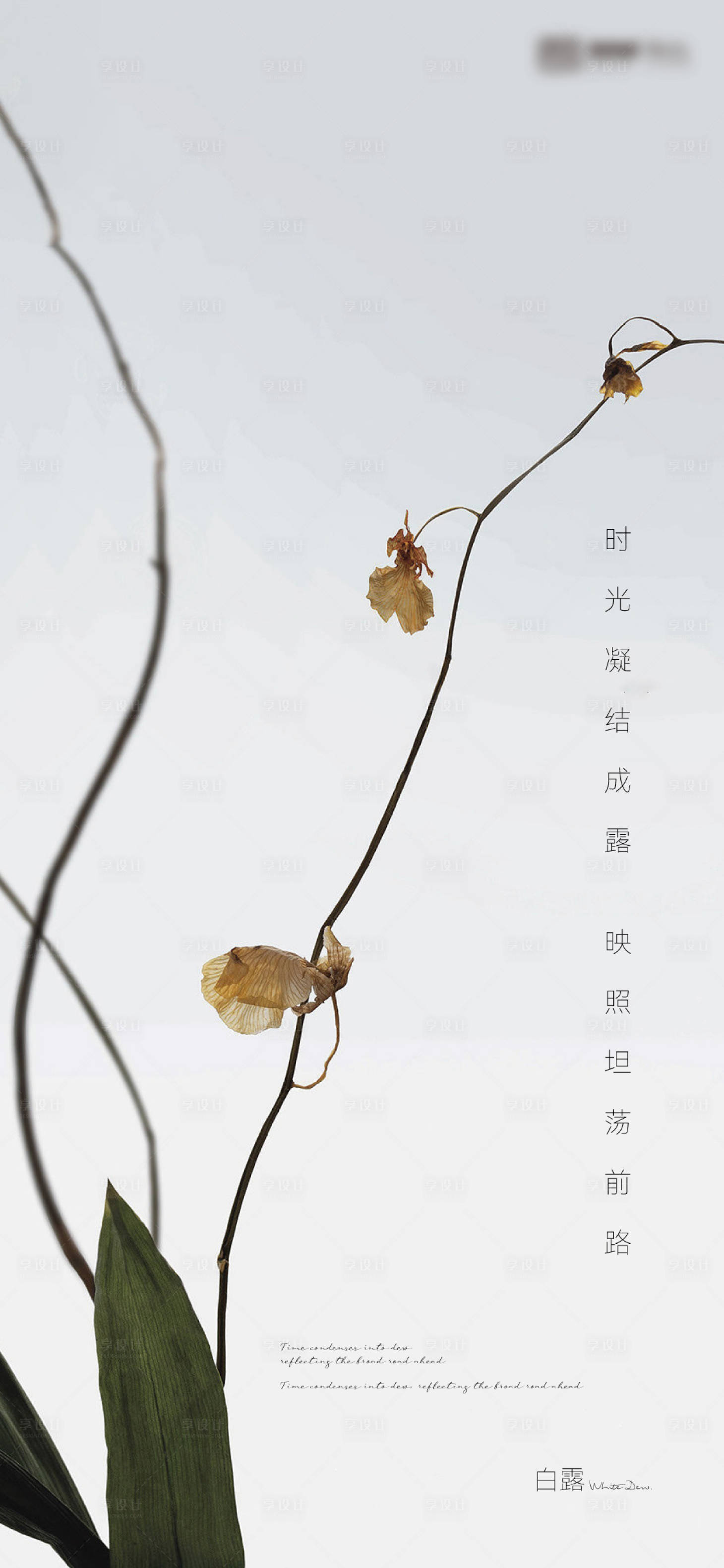 源文件下载【享设计】搜索编号：15000017195908269【白露节气海报】