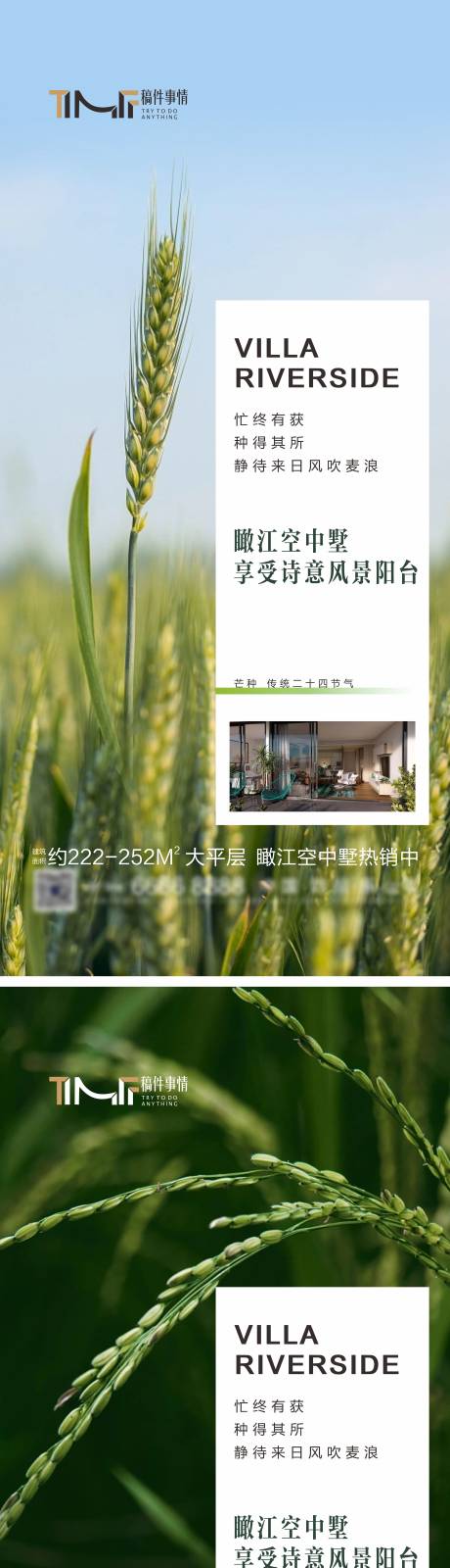 源文件下载【房地产芒种系列海报】编号：73480017127993744