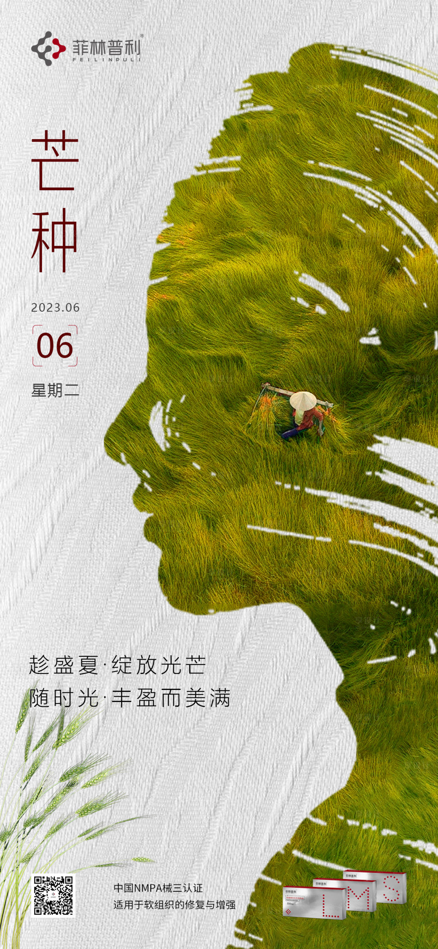 源文件下载【芒种海报】编号：78250017168563894