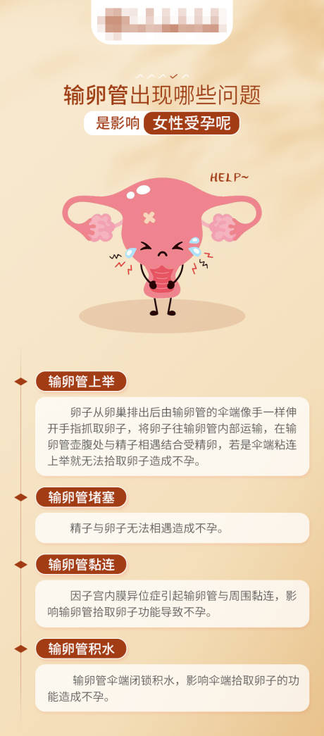 源文件下载【输卵管出现哪些问题是影响女性受孕呢】编号：86950017363512989