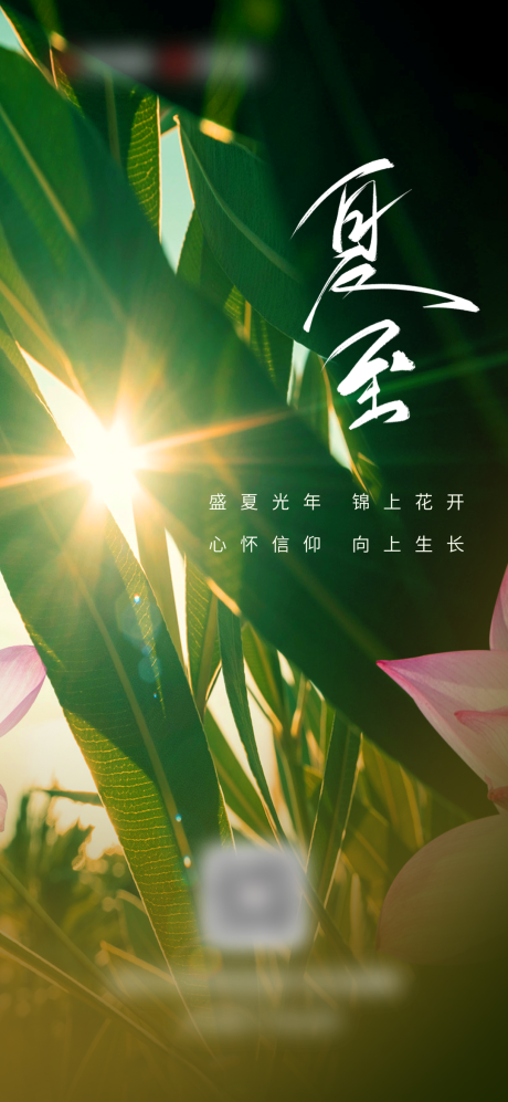 源文件下载【夏至海报】编号：94000017639247131