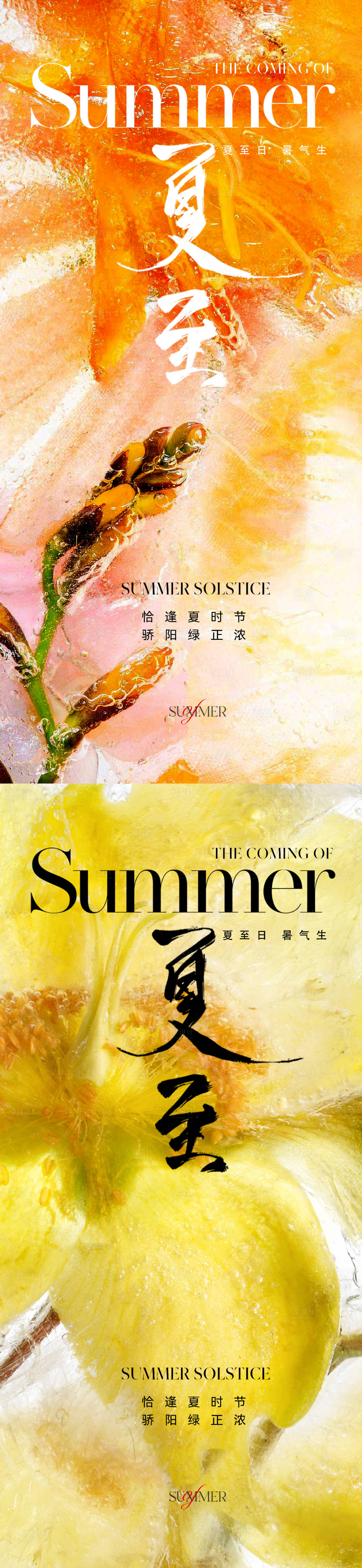 源文件下载【夏至节气海报】编号：93100017342577224