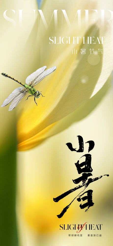 源文件下載【地產唯美清新小暑節氣海報】編號：82990017477314455