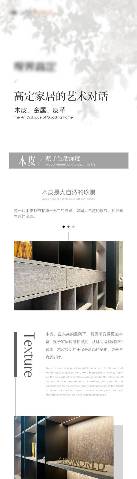 源文件下载【品牌介绍长图海报】编号：81420017122271164