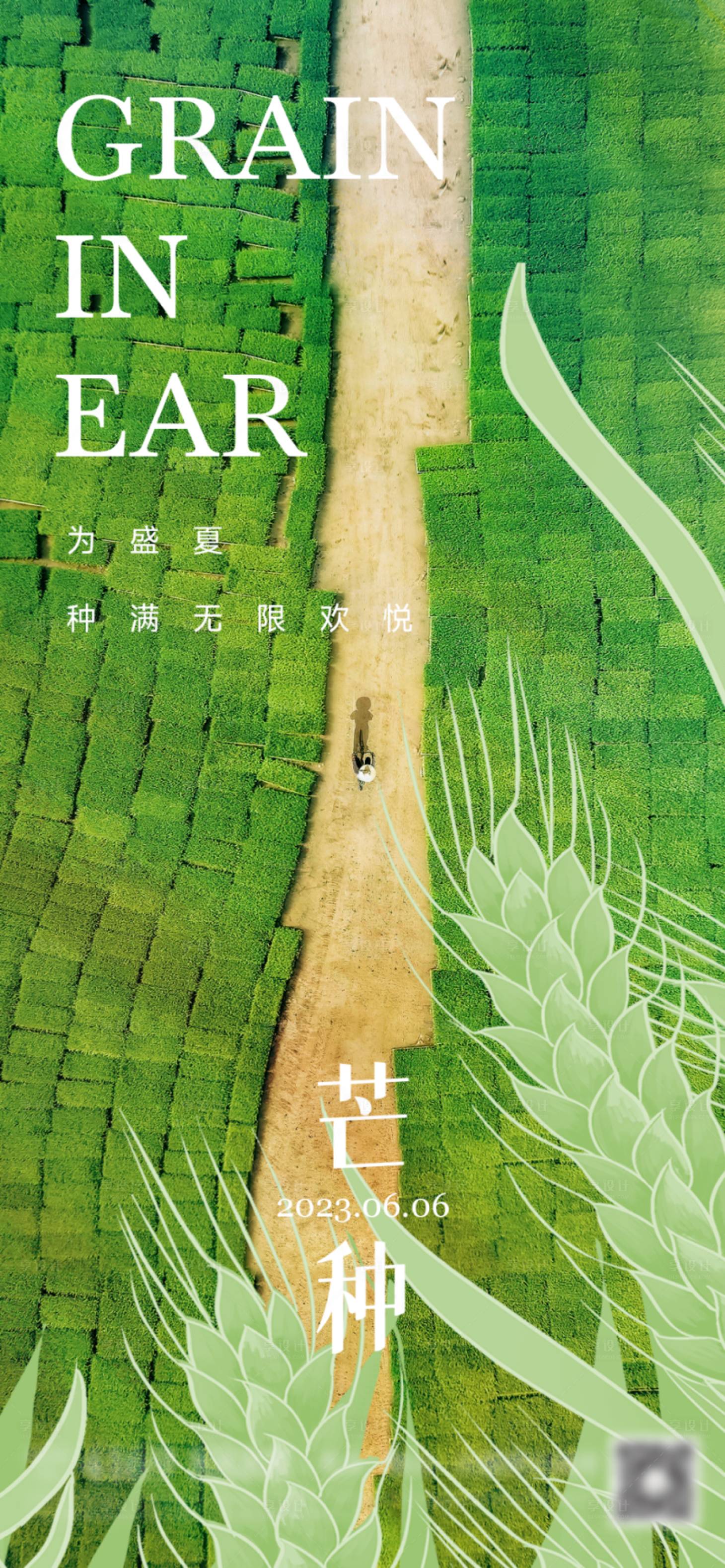 源文件下載【享設計】搜索編號：81740017133967234【芒種節氣海報】