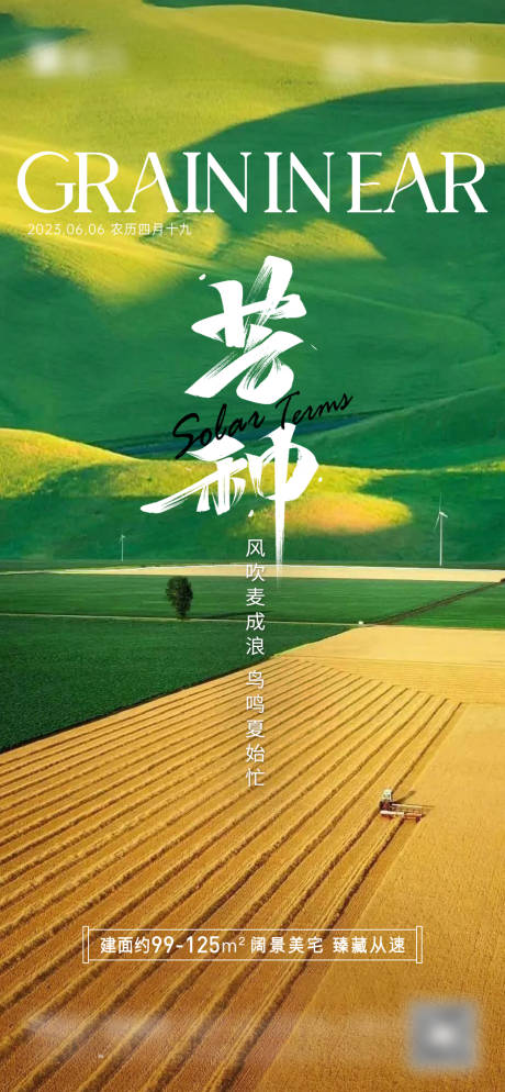 源文件下载【地产芒种海报】编号：12150017147884161