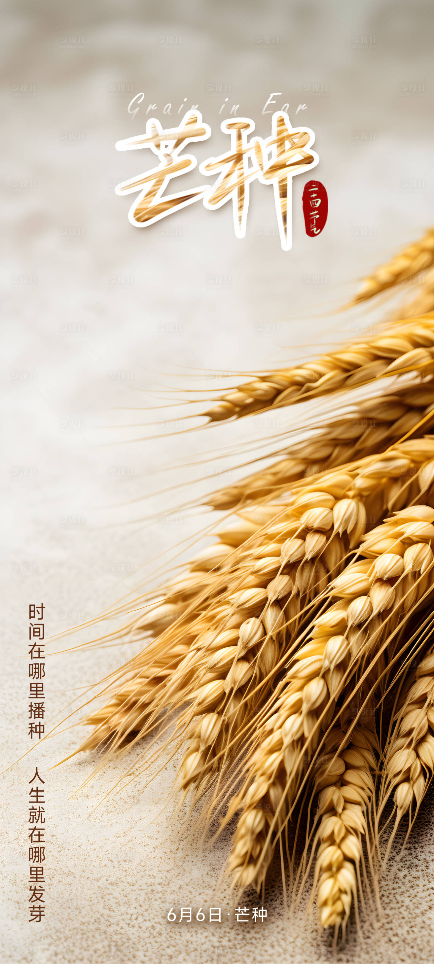 源文件下載【享設計】搜索編號：91600017137907101【芒種節氣海報】