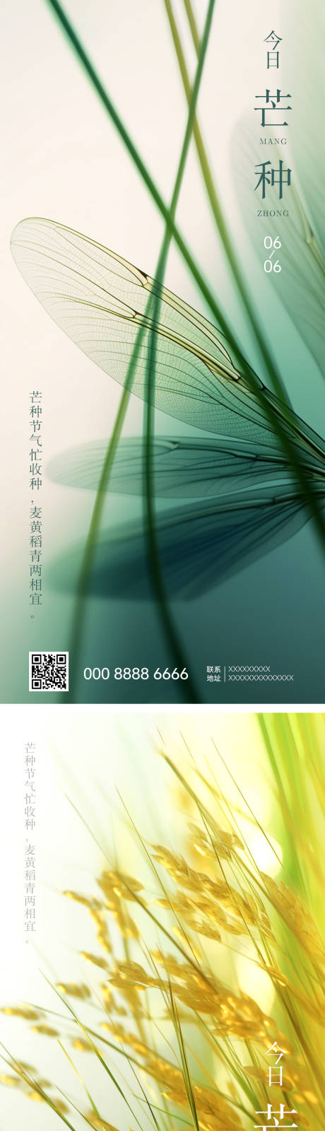 源文件下载【芒种节气海报】编号：27090017138576647