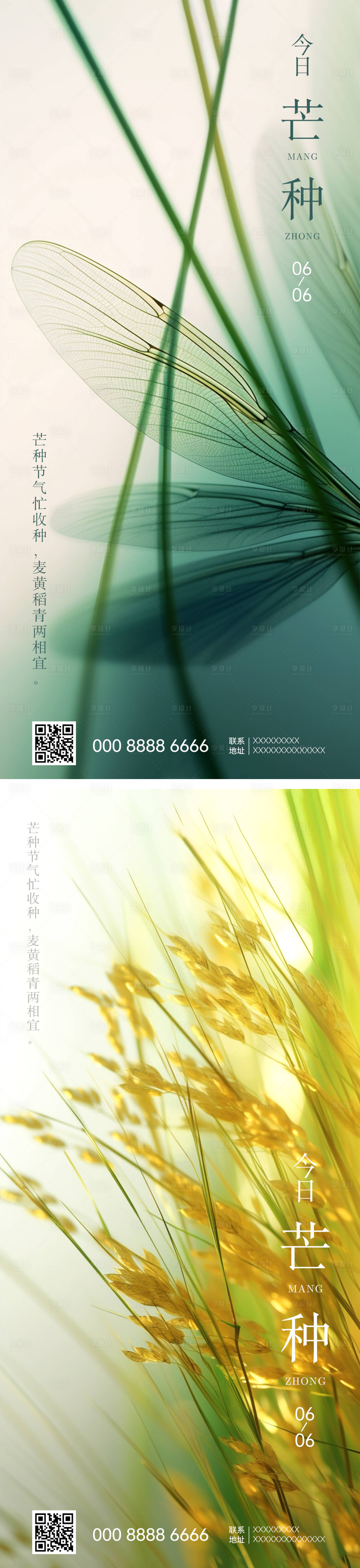 源文件下载【享设计】搜索编号：27090017138576647【芒种节气海报】