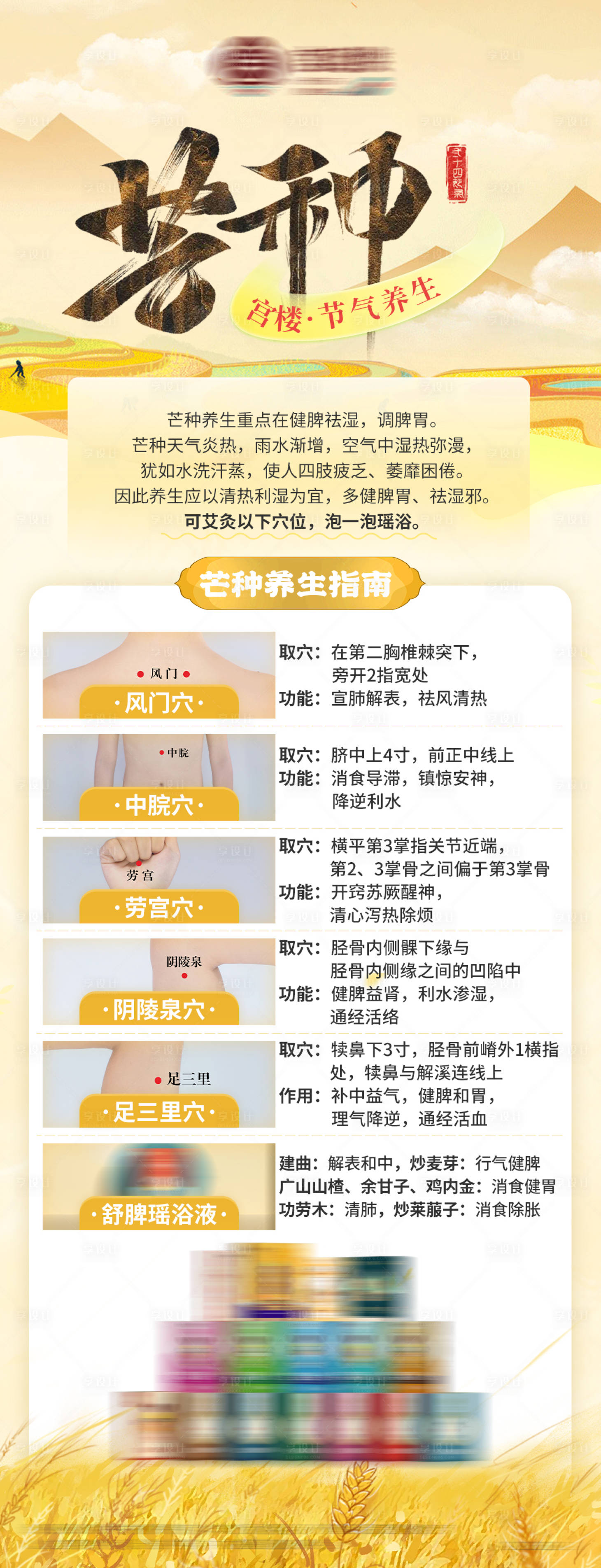 源文件下载【享设计】搜索编号：14800017233008391【芒种二十四节气养生产品介绍海报】