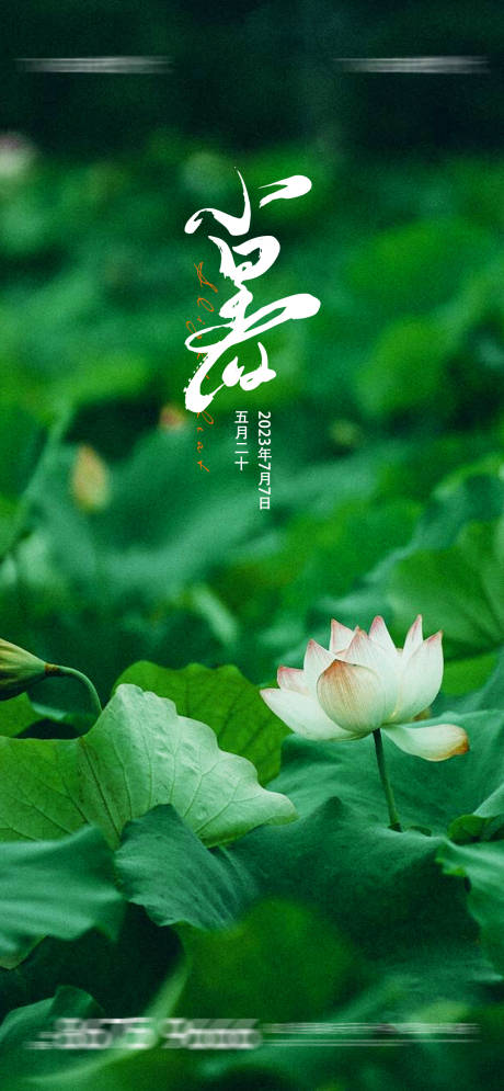 源文件下载【小暑节气移动端海报】编号：18670017687666292