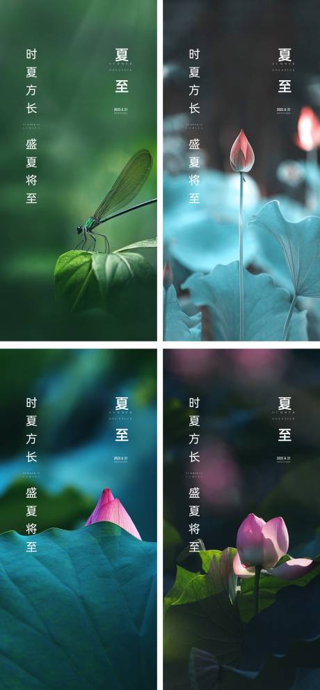 源文件下载【地产夏至节气海报】编号：96950017341693830