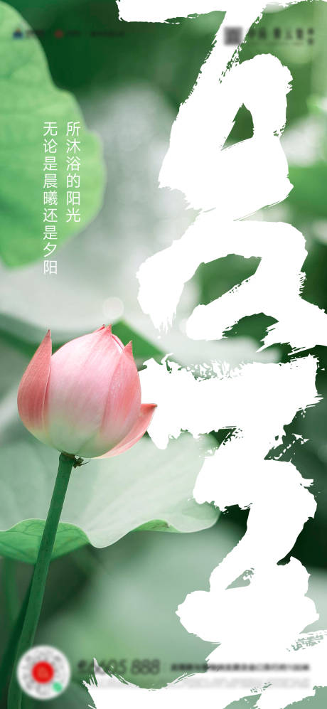 源文件下載【享設計】搜索編號：19910017294111871【夏至節氣海報】