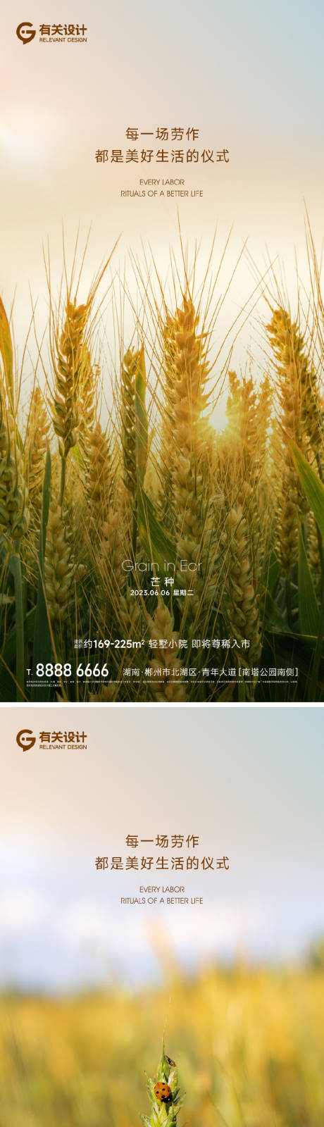 源文件下载【地产芒种节气海报】编号：28620017116434922
