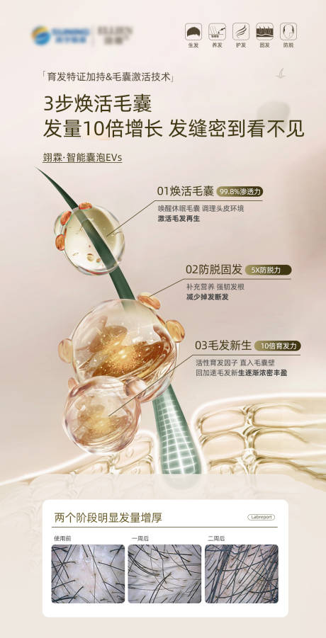 源文件下载【头发生长脱发】编号：22800017217749758