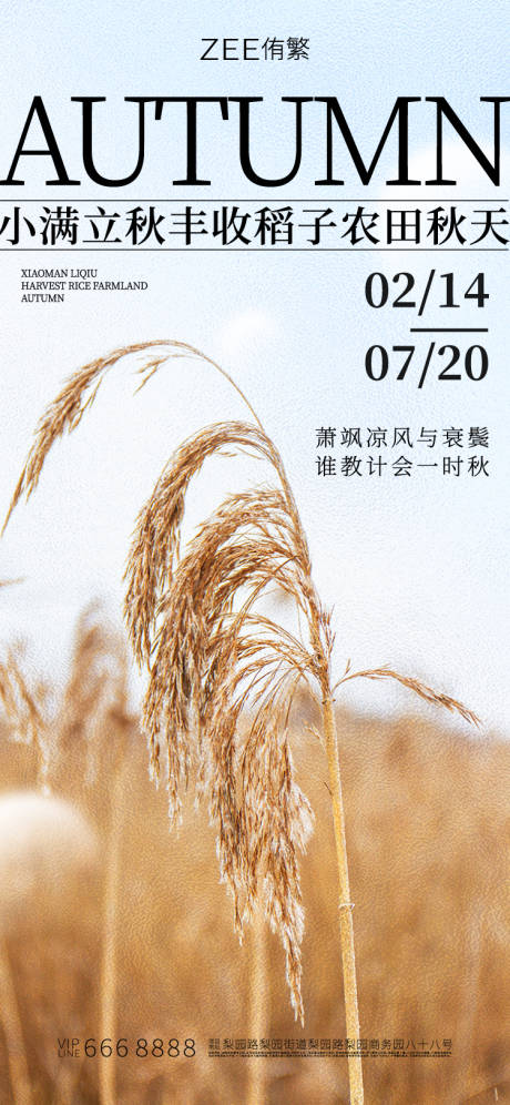 源文件下载【小满立秋节气海报】编号：85840017294819810