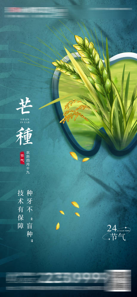 源文件下载【医美口腔芒种节气海报】编号：39910017169733246