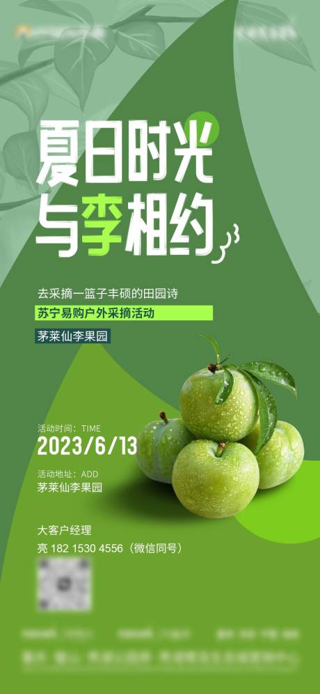 源文件下载【李子采摘活动海报】编号：20230615100708654