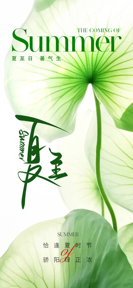 源文件下载【地产唯美夏至节气海报】编号：99490017131588681