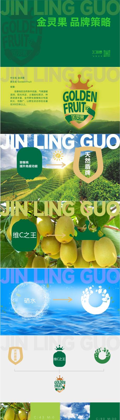 源文件下载【猕猴桃品牌vi】编号：27020017664881674