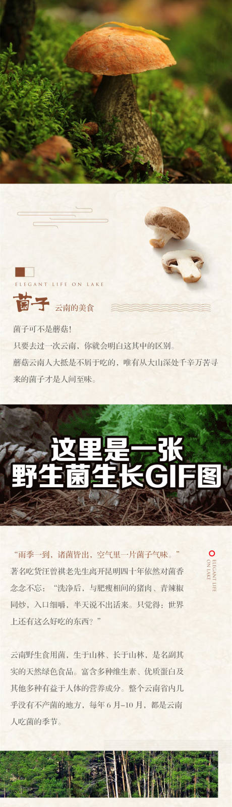 源文件下載【享設(shè)計(jì)】搜索編號(hào)：69940017546697308【地產(chǎn)蘑菇山珍長圖】