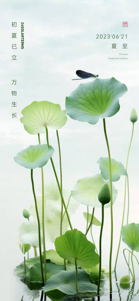 源文件下载【夏至节气海报】编号：14590017361083143