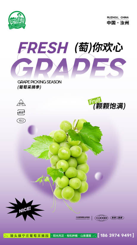 源文件下载【葡萄采摘海报】编号：48160017303492760