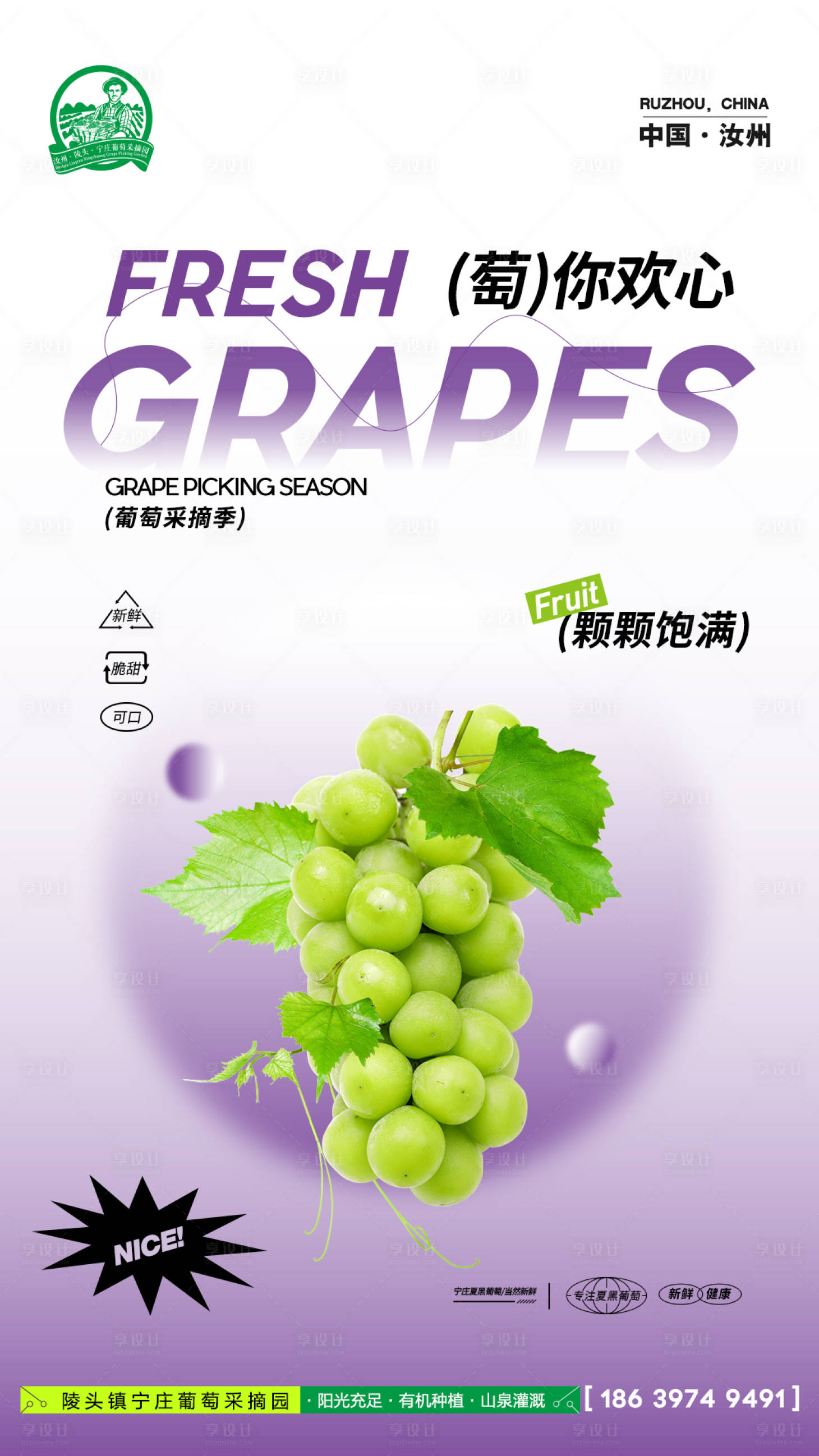 源文件下载【享设计】搜索编号：48160017303492760【葡萄采摘海报】