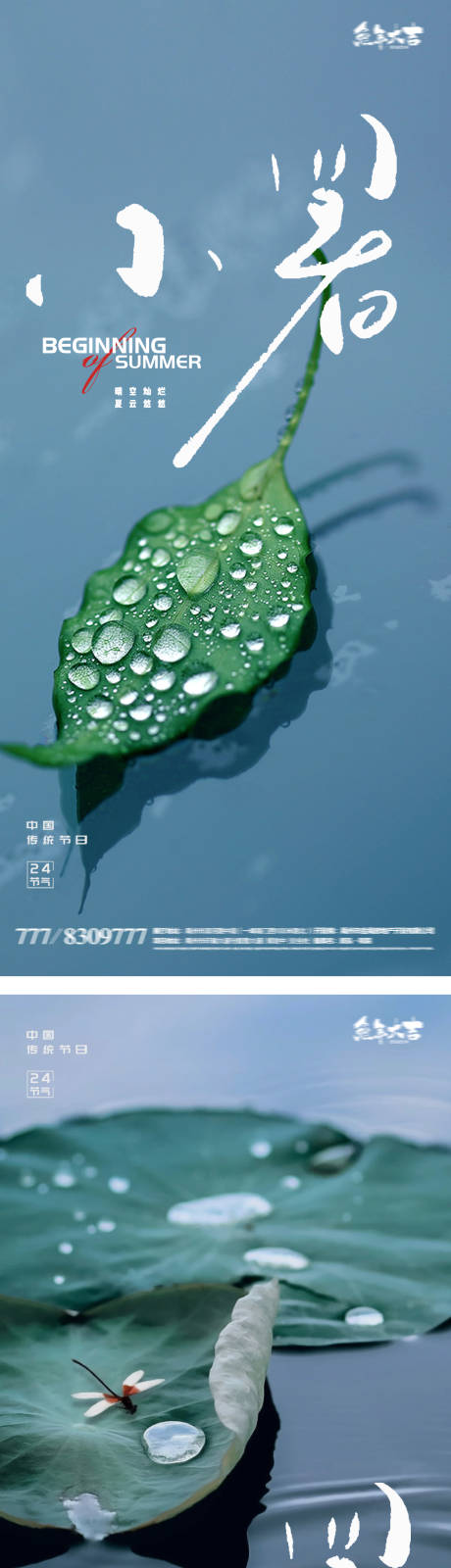 小暑24节气花卉风景海报-源文件【享设计】