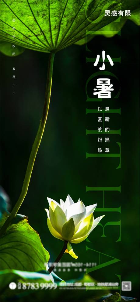 源文件下載【小暑海報】編號：86660017659333241