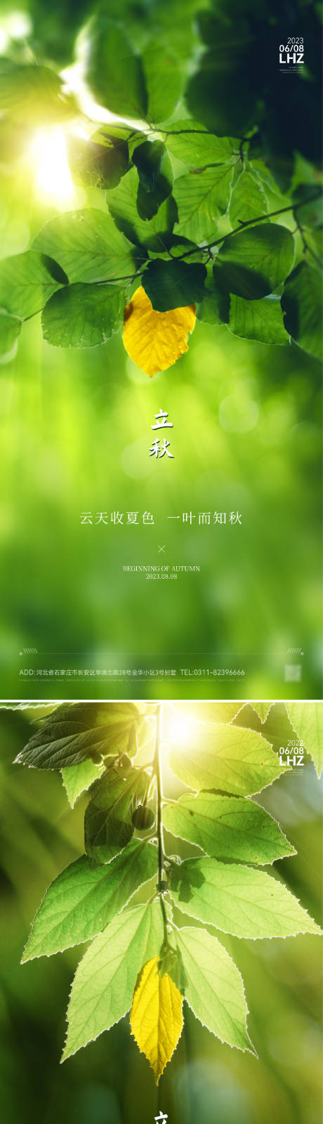 源文件下载【立秋节气海报】编号：26470018389112656
