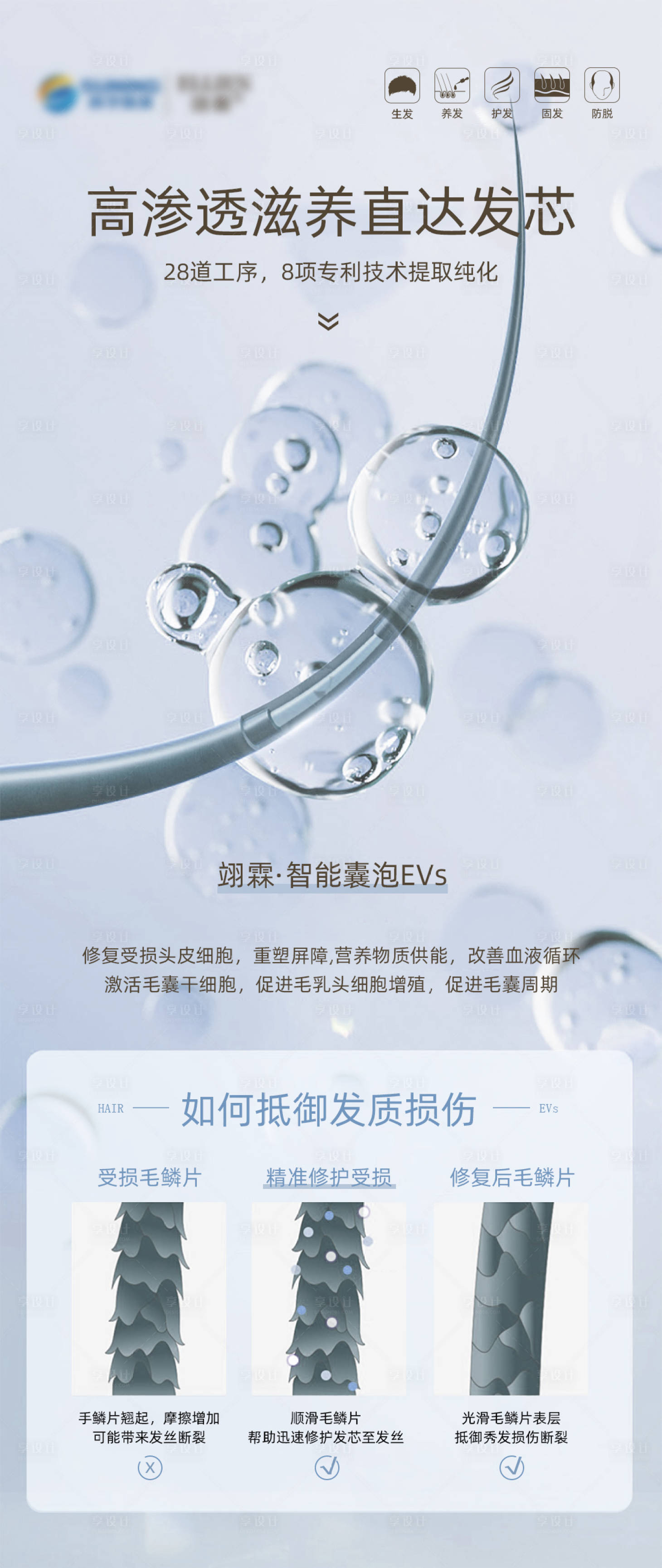 源文件下载【享设计】搜索编号：70710018261616700【修护发芯海报】
