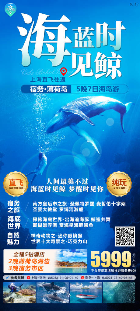 源文件下载【海蓝时见鲸海报】编号：83770018175965134