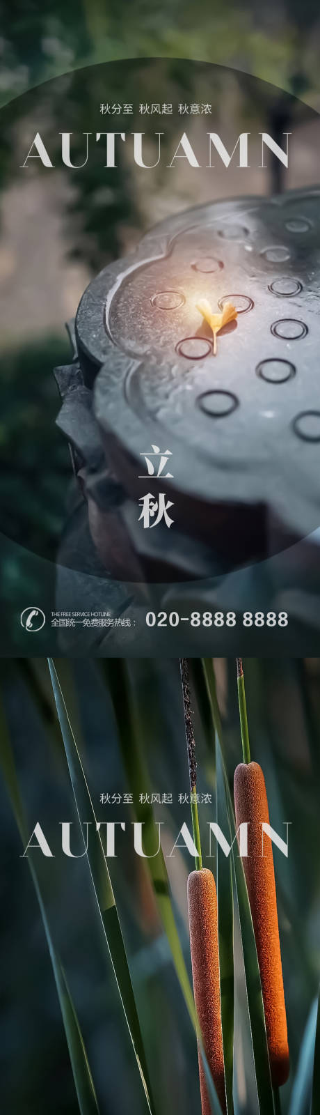 源文件下载【地产立秋借势节气海报】编号：59910018371178129