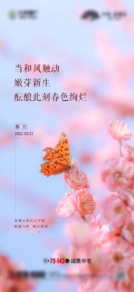 源文件下載【春分立春春天海報】編號：23550017826473454