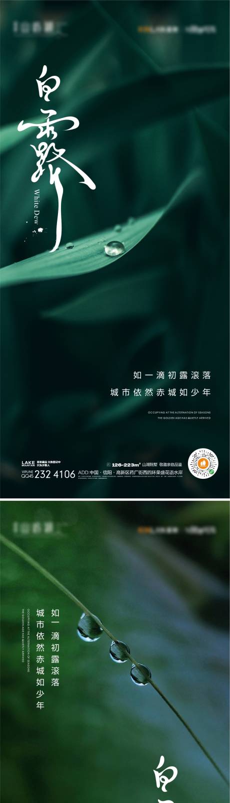 源文件下载【白露海报】编号：56050018349835876