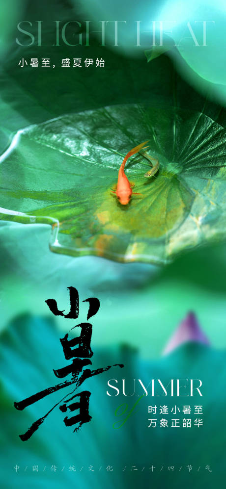 源文件下载【小暑节气海报  】编号：94710017831874988