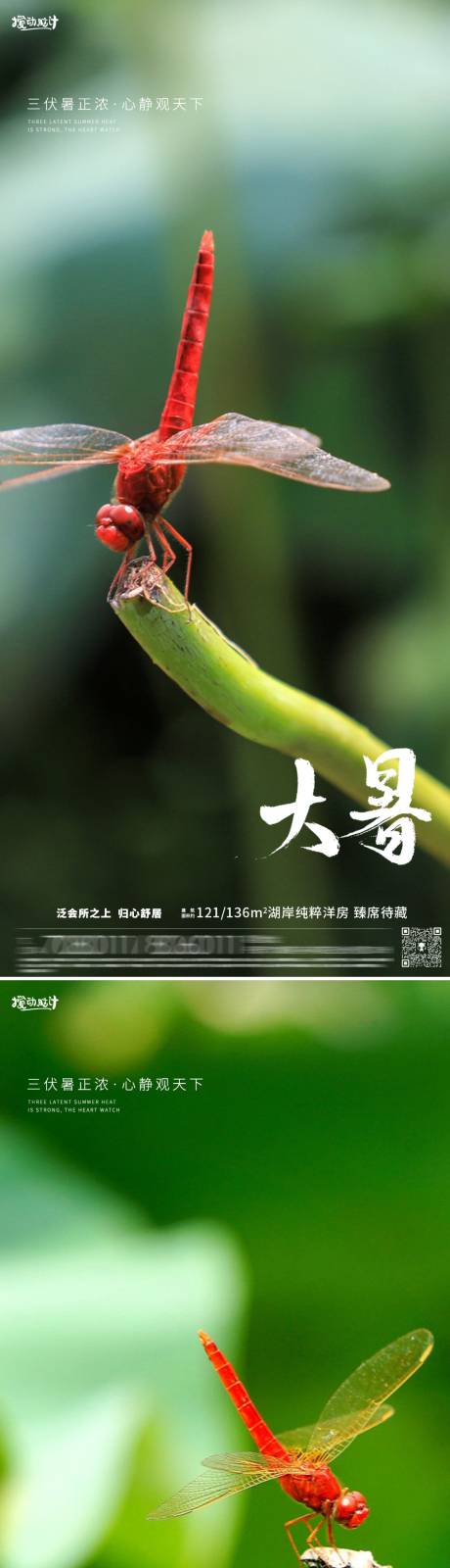 源文件下载【大暑节气海报】编号：84170017950866401